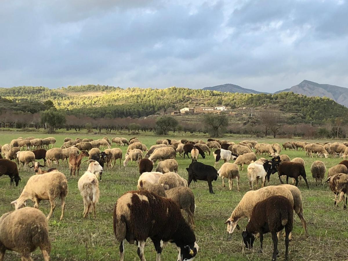 Solano De Moran Hotell Murillo de Gállego Exteriör bild